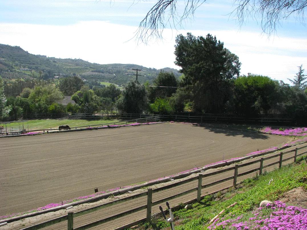 Riding Arena