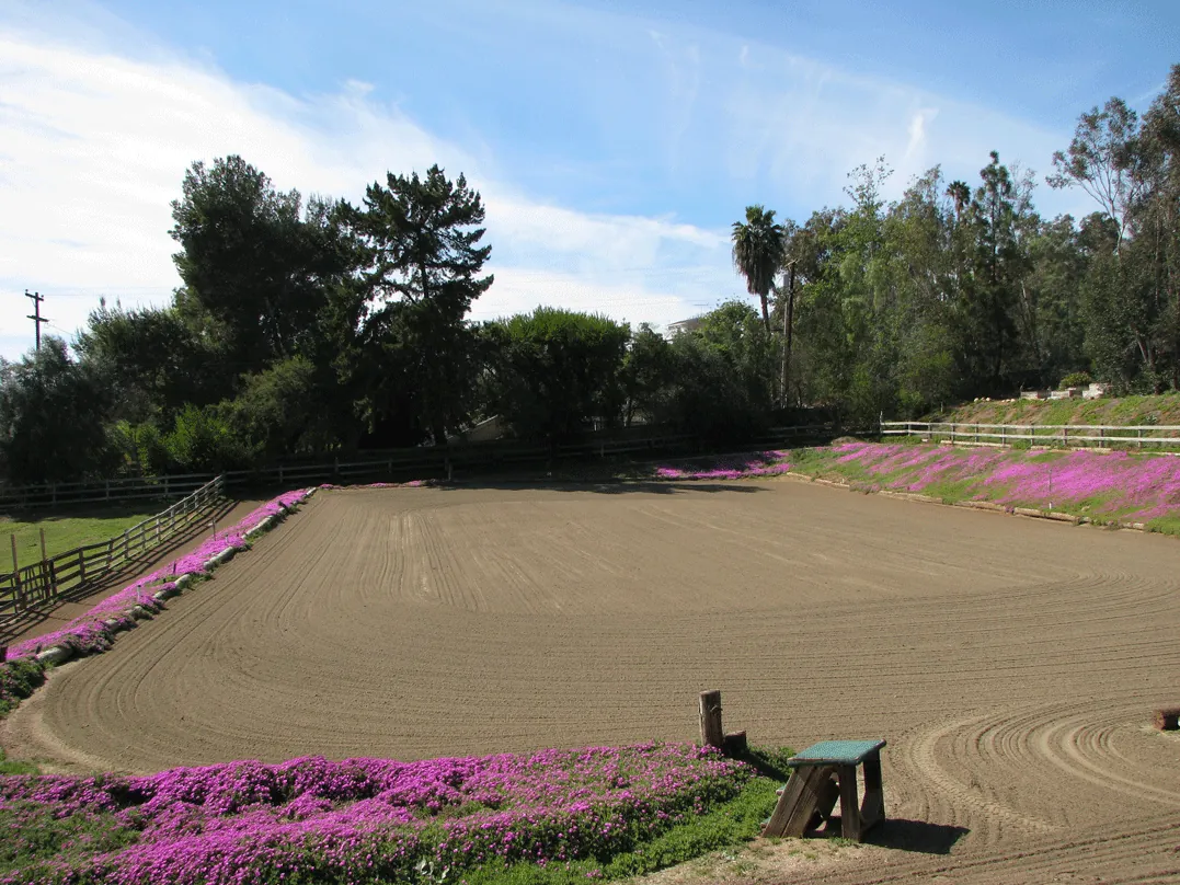 Riding Arena