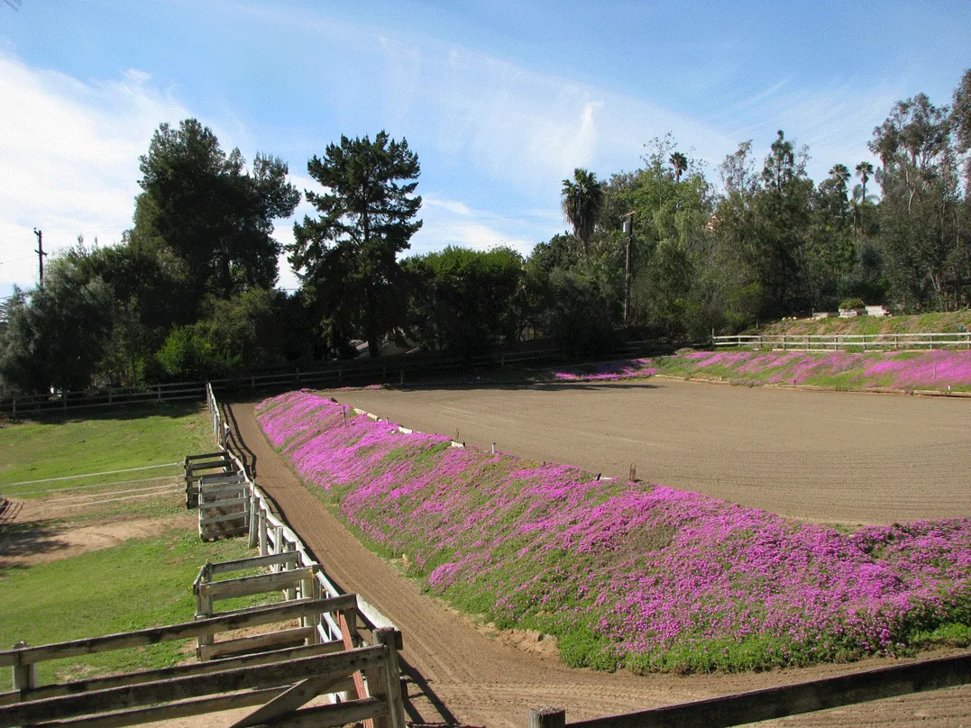Riding Arena