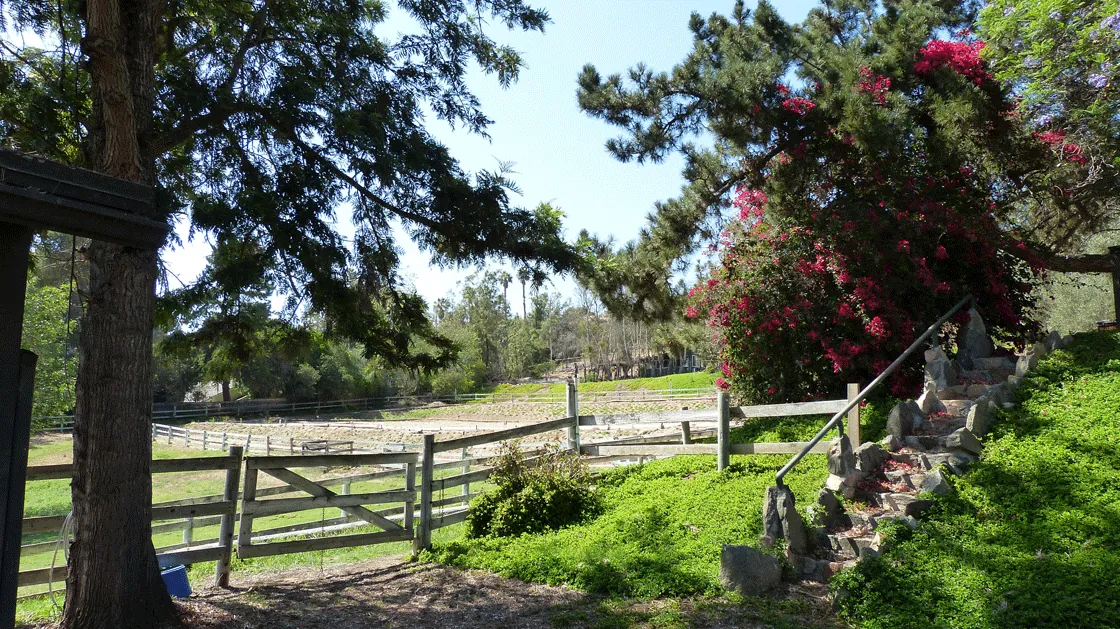 Barn courtyard out to west pastures and arena
