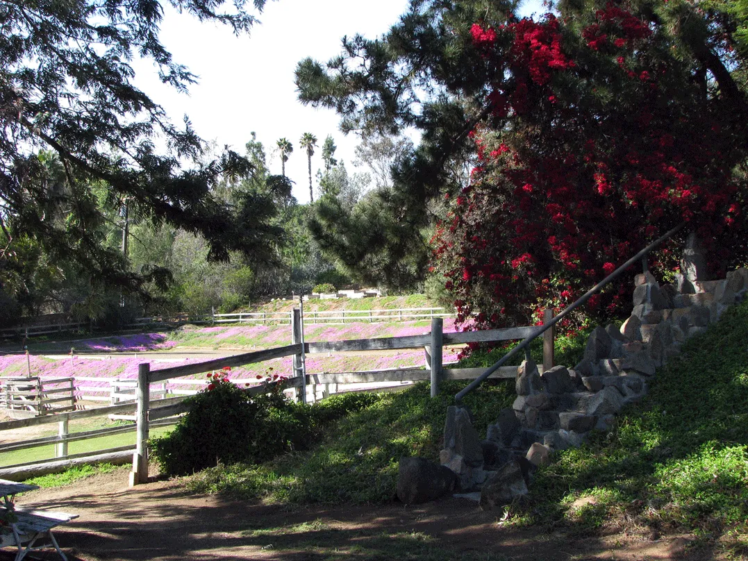 Barn courtyard out to west pastures and arena
