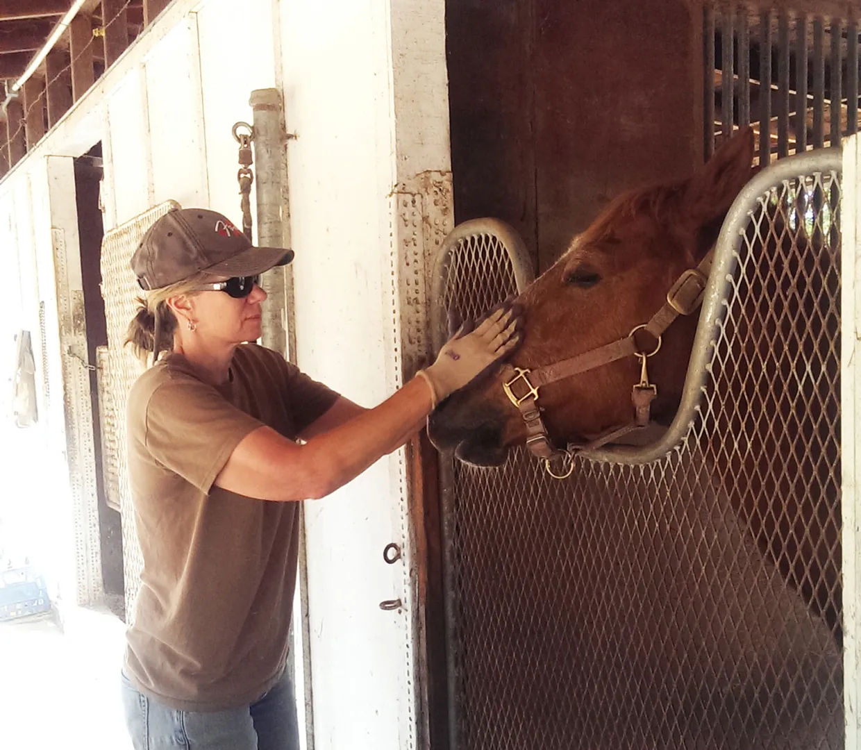 Barn In/Out Stall