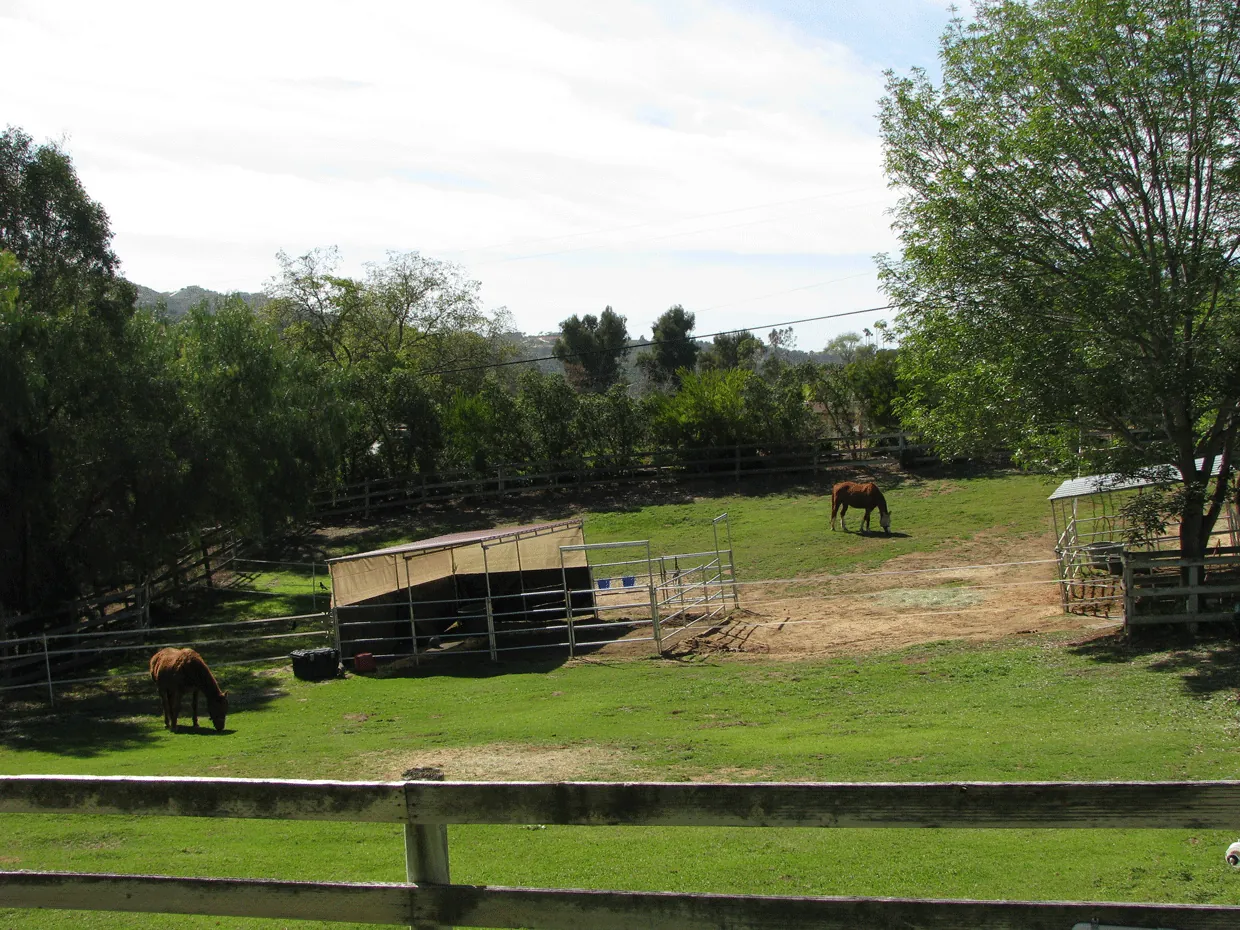 West Pastures