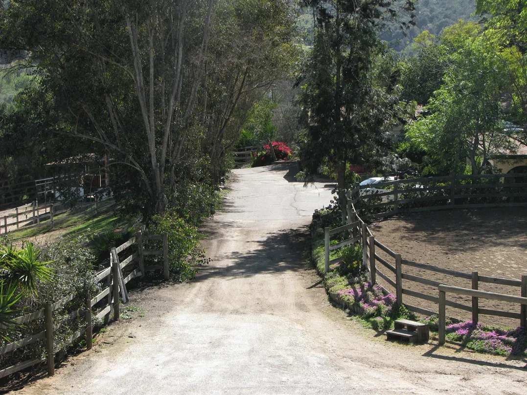 Driveway & Lunging Arena