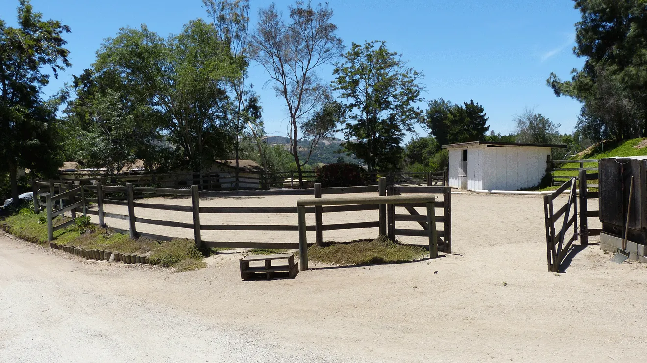 Lunging Arena