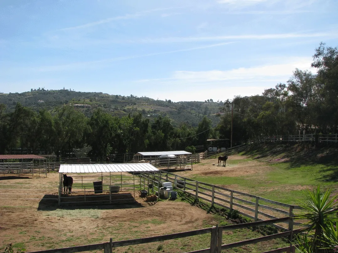 East Pastures